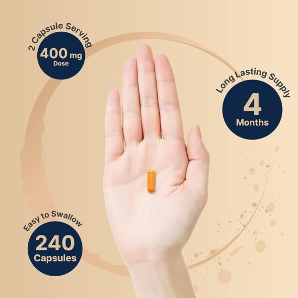Vitamin B2 Riboflavin 240 Capsules - Image 4