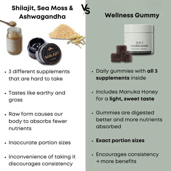 Shilajit Sea Moss Ashwagandha Gummies 3 in 1 - Image 4