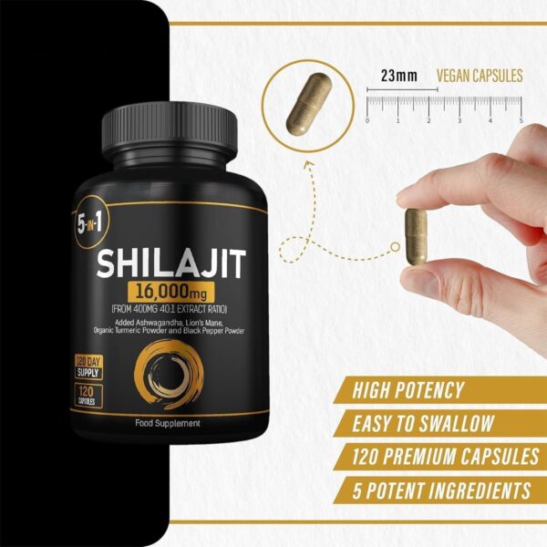 Shilajit Lion's Mane Ashwagandha Tumeric (120) - Image 4