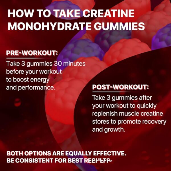 Creatine Monohydrate L-Carnitine and Vitamins - Image 2