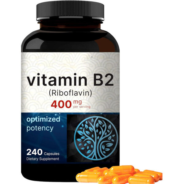 Vitamin B2 Riboflavin 240 Capsules - Image 2