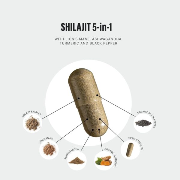 Shilajit Lion's Mane Ashwagandha Tumeric (120) - Image 2