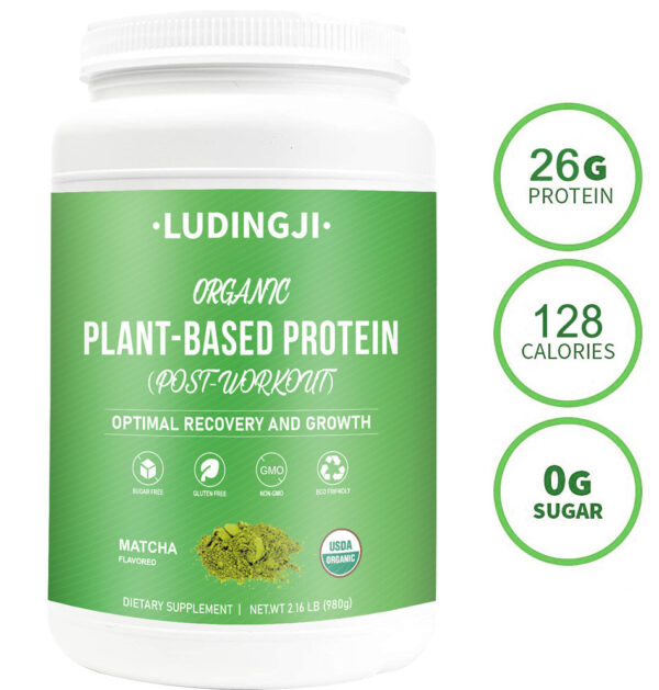 Organic Plant-Based Protein - Optimal Recovery - Image 5