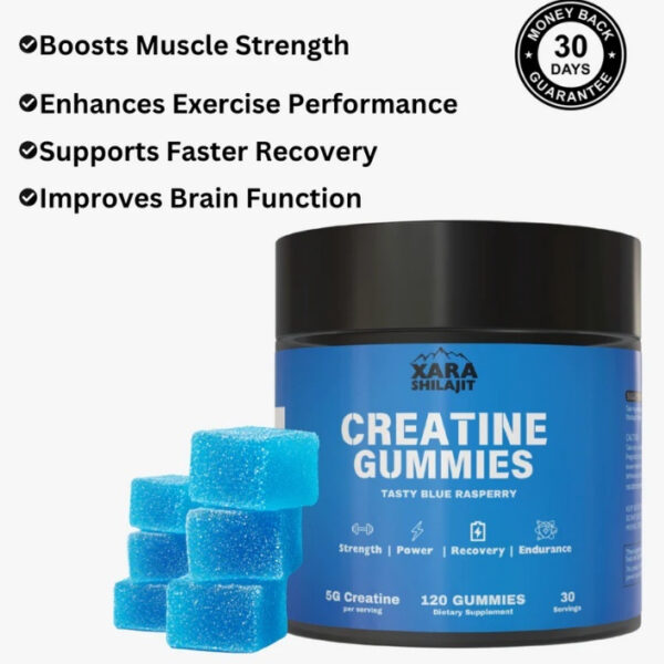 Shilajit Creatine Monohydrate - 120 Gummies