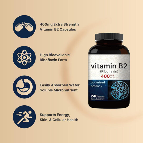 Vitamin B2 Riboflavin 240 Capsules